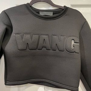 Alexander Wang h&m collection